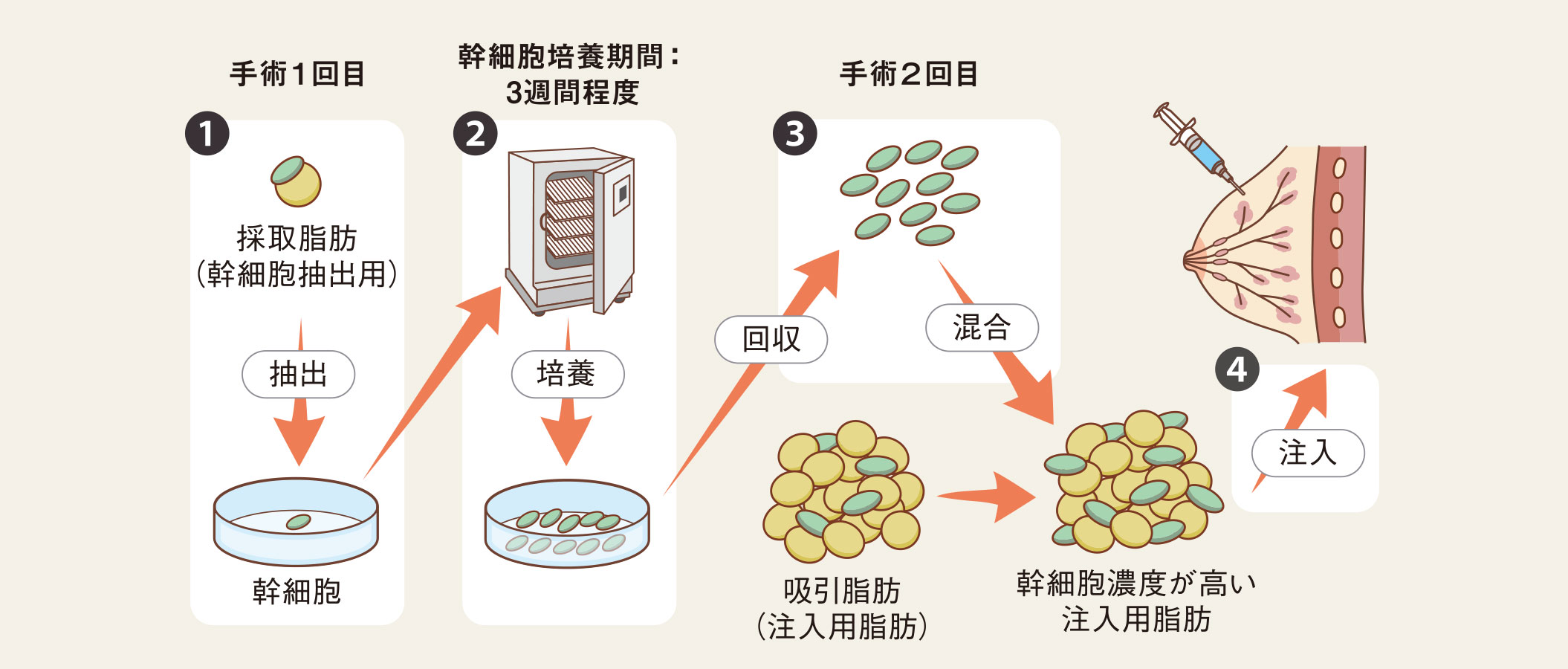 再生医療技術「培養CAL」について