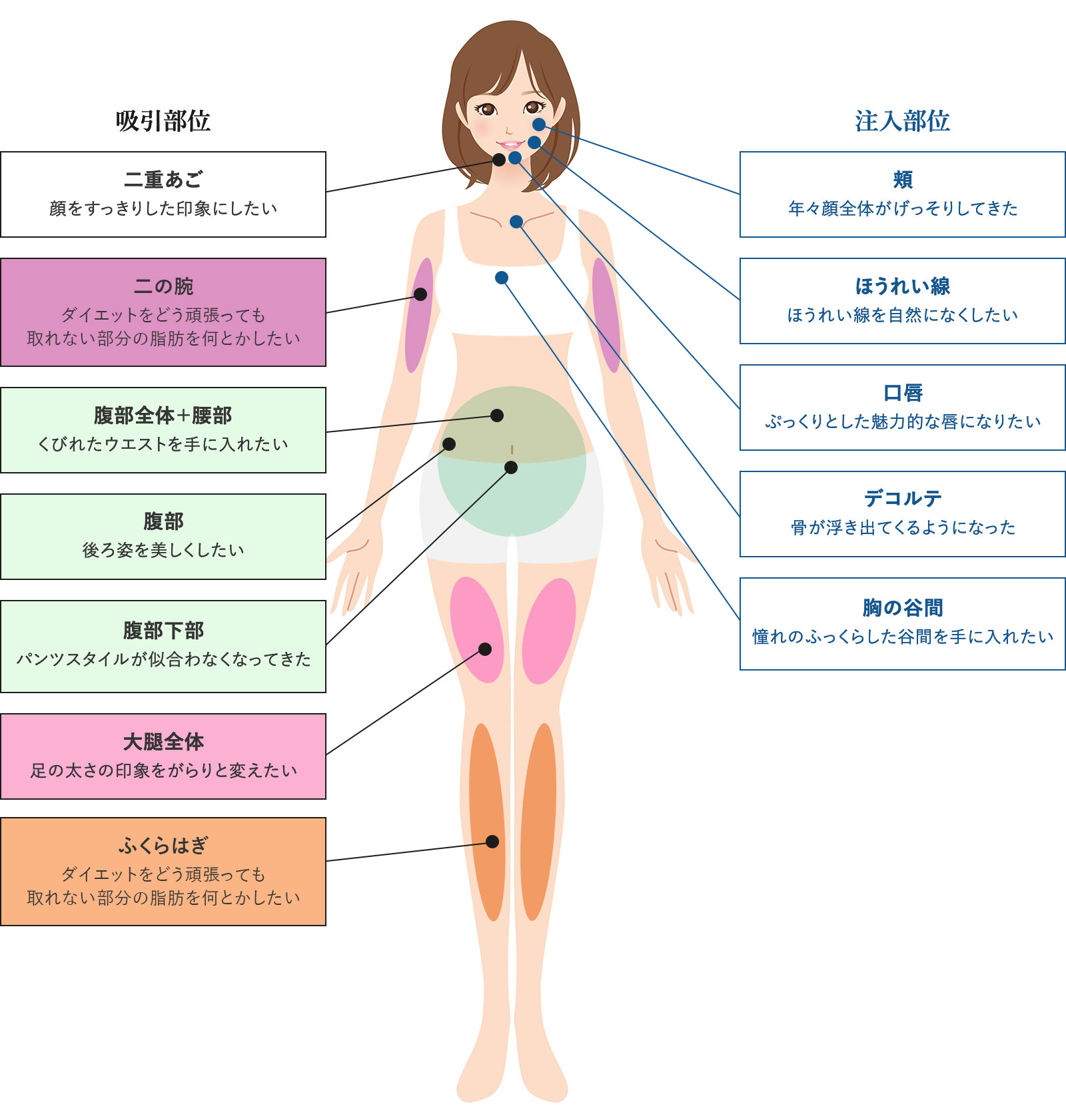 脂肪吸引術 横浜市の高度美容外科 セルポートクリニック横浜